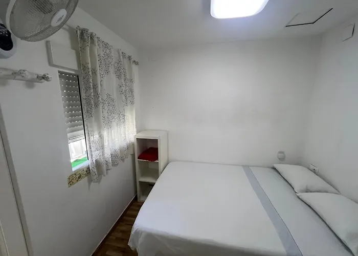 El Buho De Cordoba